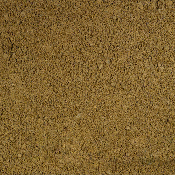 sand 0001