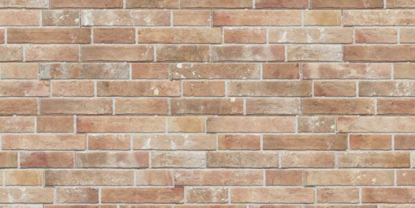 Wandpanel 16 x 40 x 1 cm - clay orange – Bild 2