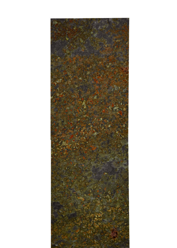 Palisadenplatten 200 x 50 cm ardesia multicolor Höhe 3-4 cm - 16 Stk./Palette