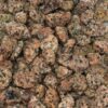 Ziersplitt Granit rosé feucht 2018