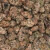 Ziersplitt Granit rosé feucht 2018
