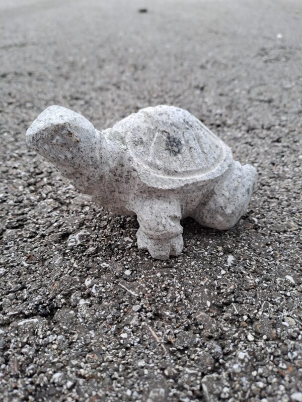 Schildkröte aus Granit -  10 cm Länge 10 cm