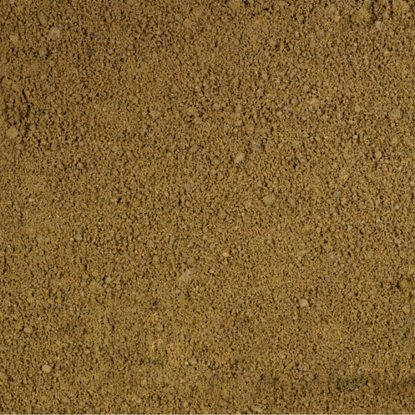 sand 0001