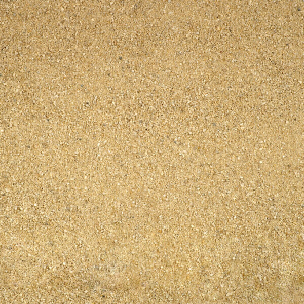 sand 0056